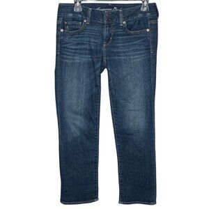 Vintage Y2K 00s American Eagle‎ 4 Reg Stretch Denim Low Rise Crop Artist Jeans